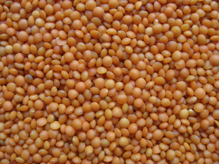 
Turkish red lentils