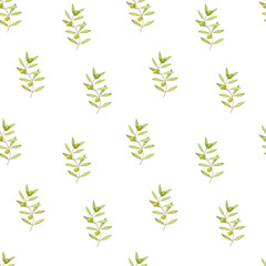 Seamless pattern of olive branches. Watercolour drawing