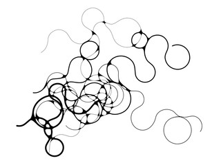 Decorative element for the design with smooth lines and circles, isolated on a white background.