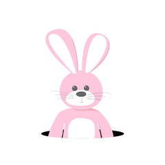 Hase
