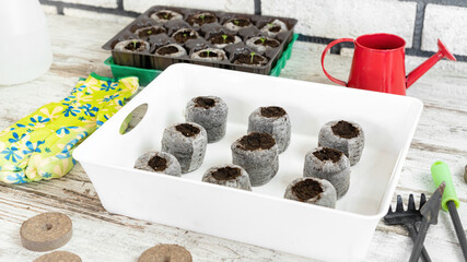 How to use peat pellets for growing seedlings instruction. Step 4. Squeeze out excess water from swollen peat or coconut tablets, and also slightly compact the soil for better seed germination.