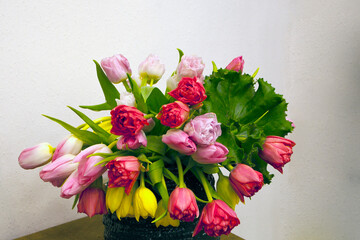 bouquet of tulips on white  background. Bunch of fresh-cut spring flowers