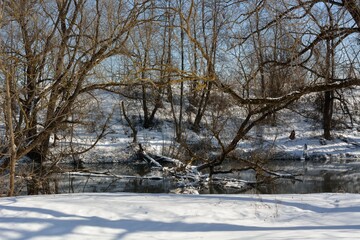 Spring walk in the floodplain of the Desna River