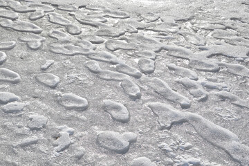 Melting ice in the park - natural pattern background
