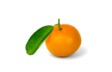 Oranges with leaves isolated on a white background
