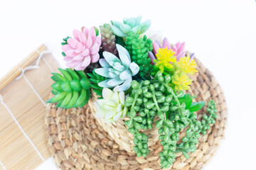 Beautiful Bouquet of Artificial Plastic Cactus Succulents flat lay nature artistic vintage Decoration