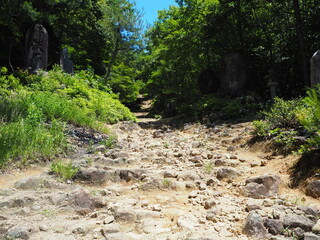 初夏の尾張本宮山の山道