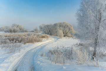 winter landscape with trees