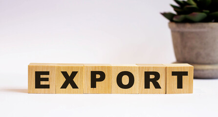 The word EXPORT on wooden cubes on a light background near a flower in a pot. Defocus