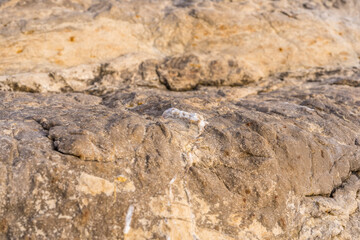 Stones texture nature photo. Rock background. Mountain close-up. Mountain texture.