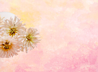 Pink floral background with zinnia flowers in vase from garden, soft pastel colors.