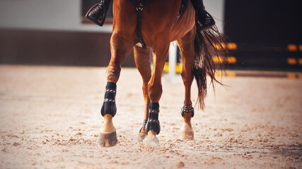 The legs of a sorrel horse with long tail, treading on the sand in the arena with its hooves and...