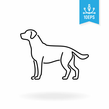 Dog vector icon. Pet illustration. Canine symbol isolated on white background.
