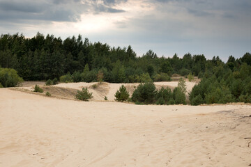 Fototapeta na wymiar Sand dunes under a bright autumn sky