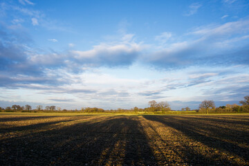 Fototapeta na wymiar Field and blue sky with clouds