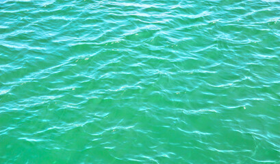 Top view of green sea surface or texture