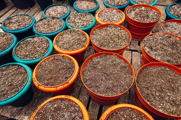 potting soil in large pots