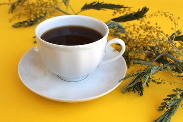 A cup of coffee stands on a yellow background with a sprig of mimosa