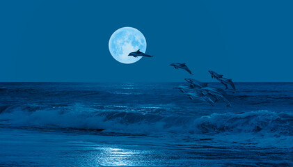 Night sky with new moon in the clouds - Group of dolphins jumping out of the water "Elements of this image furnished by NASA © muratart