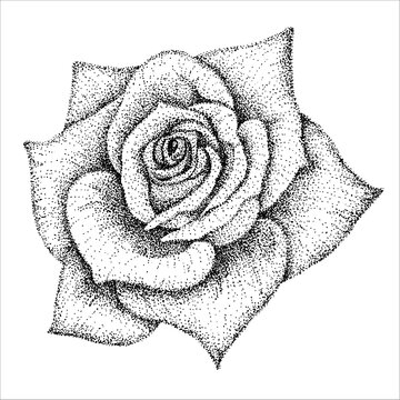 点描画 Images Browse 141 Stock Photos Vectors And Video Adobe Stock