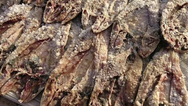 Casiers de poisson s&eacute;ch&eacute; au soleil (gu&eacute;dj), sal&eacute; et/ou fum&eacute; (k&eacute;tiakh) &agrave; Cayar (S&eacute;n&eacute;gal)