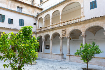 Fototapeta na wymiar Courtyard of Palma Cathedral in Palma de Mallorca