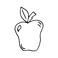 Hand drawn doodle apple. Flat illustration for coloring book, print design.