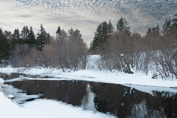 Obraz premium snow-covered forested bank of a city river not frozen in winter