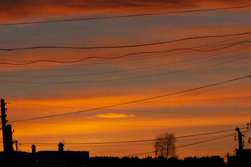 red clouds at sunset in the city crossed with wires