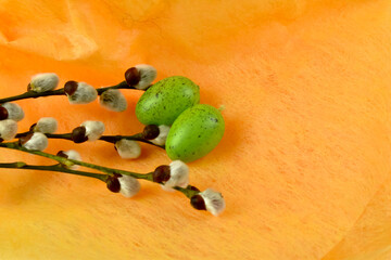 Gałęzie i pączki wierzby i kolorowe ozdoby Wielkanocne.