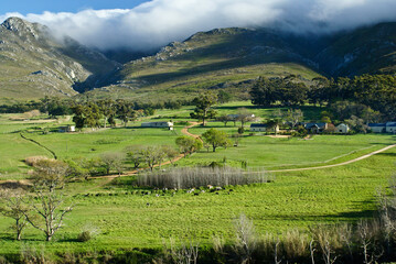 Clouds hover on the hilltops above a farm on the Western Cape, South Africa