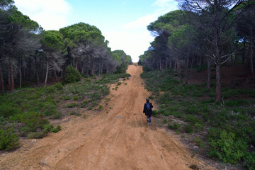 Vista della pineta del lago Baratz
