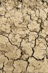 Background suitable for drought images of clods of earth and dry earth with cracks, macro photography of detail of cracks on the earth formed by the sun drying the earth, no water.