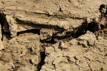 Background suitable for drought images of clods of earth and dry earth with cracks, macro photography of detail of cracks on the earth formed by the sun drying the earth, no water.
