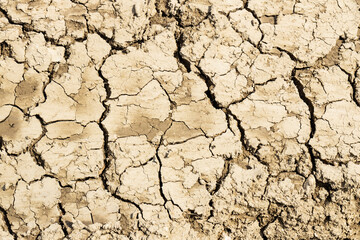 Background suitable for drought images of clods of earth and dry earth with cracks, macro photography of detail of cracks on the earth formed by the sun drying the earth, no water.