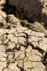 Background suitable for drought images of clods of earth and dry earth with cracks, macro photography of detail of cracks on the earth formed by the sun drying the earth, no water.