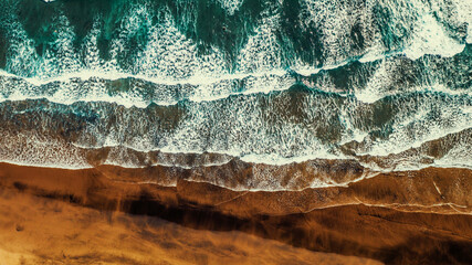 The lovely Piha beach around the famous Lion Rock, New Zealand by drone