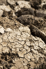 Background suitable for drought images of clods of earth and dry earth with cracks, macro photography of detail of cracks on the earth formed by the sun drying the earth, no water.