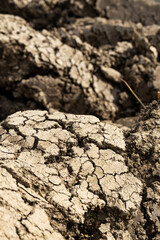 Background suitable for drought images of clods of earth and dry earth with cracks, macro photography of detail of cracks on the earth formed by the sun drying the earth, no water.