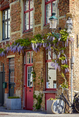 Fototapeta na wymiar Amsterdam Netherlands. Corner brick house with big red window blooming vine lantern and bicycle at street.