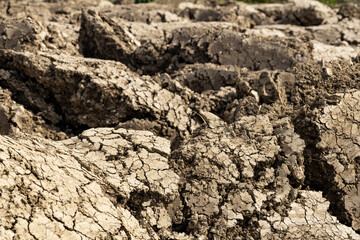 Background suitable for drought images of clods of earth and dry earth with cracks, macro photography of detail of cracks on the earth formed by the sun drying the earth, no water.