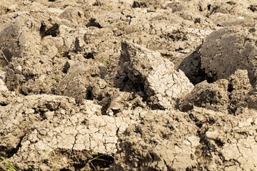 Background suitable for drought images of clods of earth and dry earth with cracks, macro photography of detail of cracks on the earth formed by the sun drying the earth, no water.