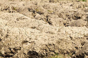 Background suitable for drought images of clods of earth and dry earth with cracks, macro photography of detail of cracks on the earth formed by the sun drying the earth, no water.