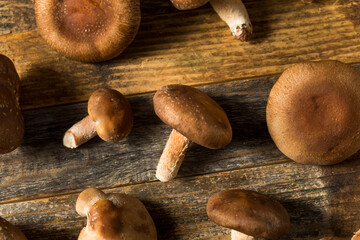 Raw Organic Shiitake Mushrooms