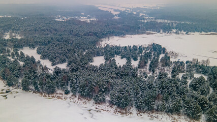 Polskie jezioro skute lodem, zielone drzewa oprószone śniegiem. 