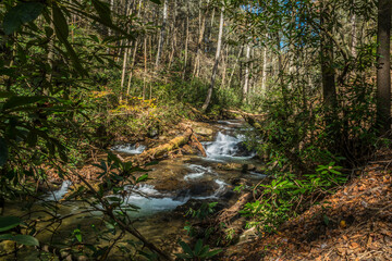 Obraz premium Creek with small waterfalls