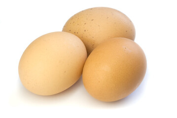 brown eggs