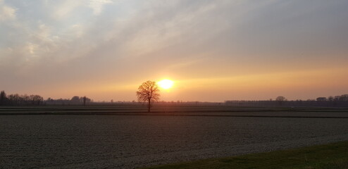 Tramonto nelle campagne pavesi