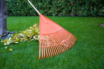 A man rakes the leaves in the garden with an orange rake.
