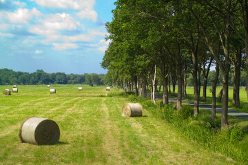 Oldenburger Land